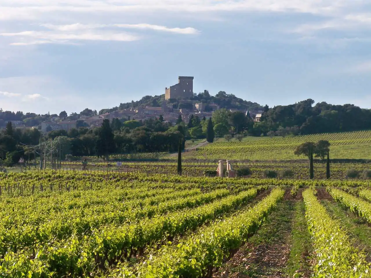 Château de Beaucastel