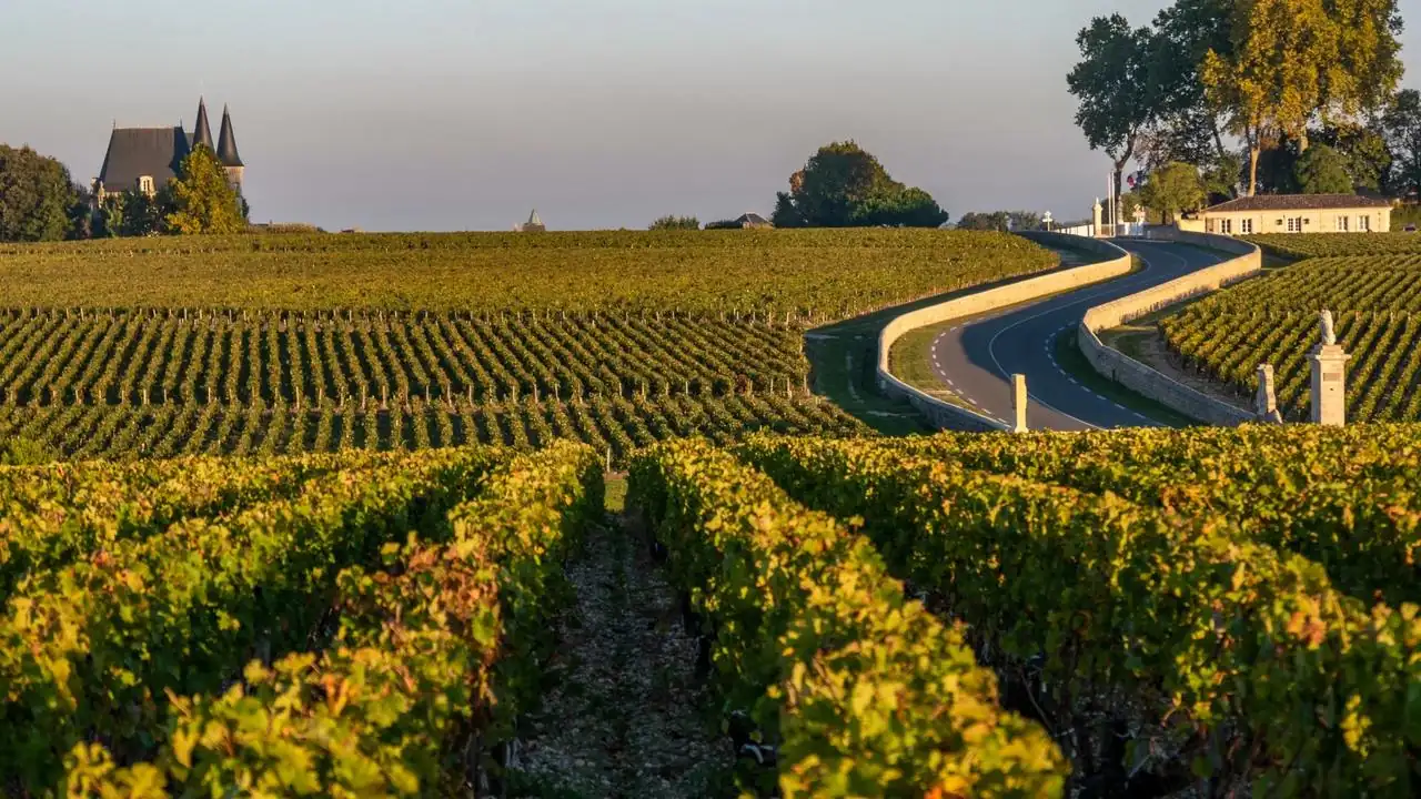 Château Pontet-Canet