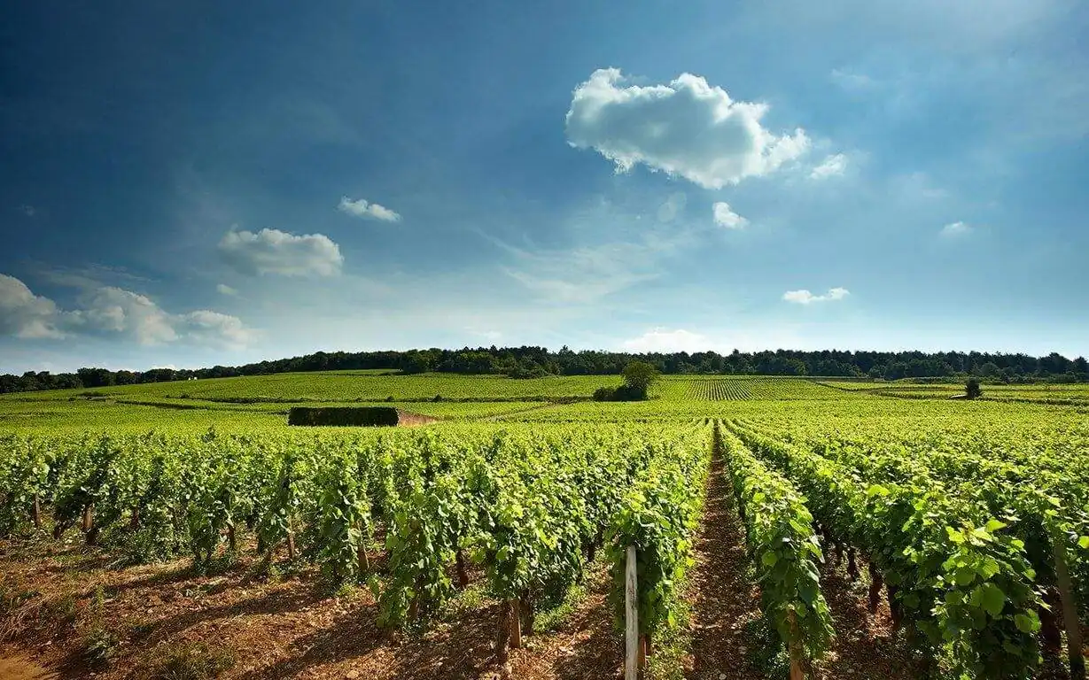 Domaine Cécile Tremblay