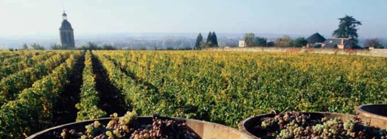Domaine Huet