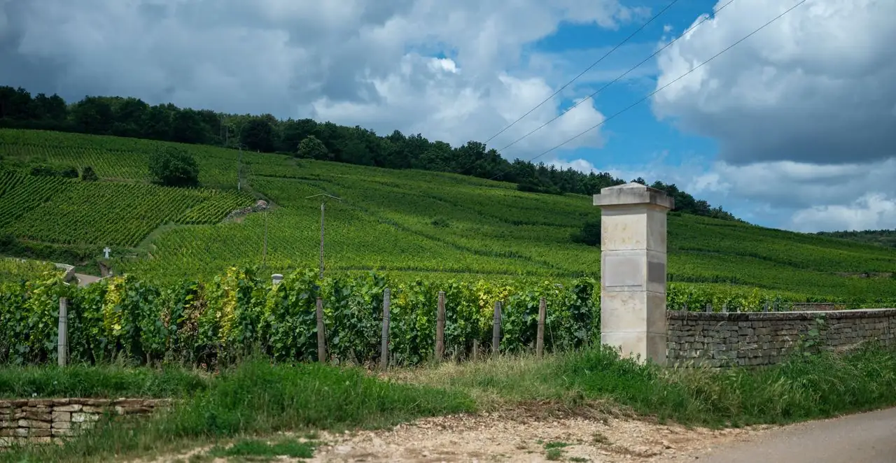 Domaine Leflaive
