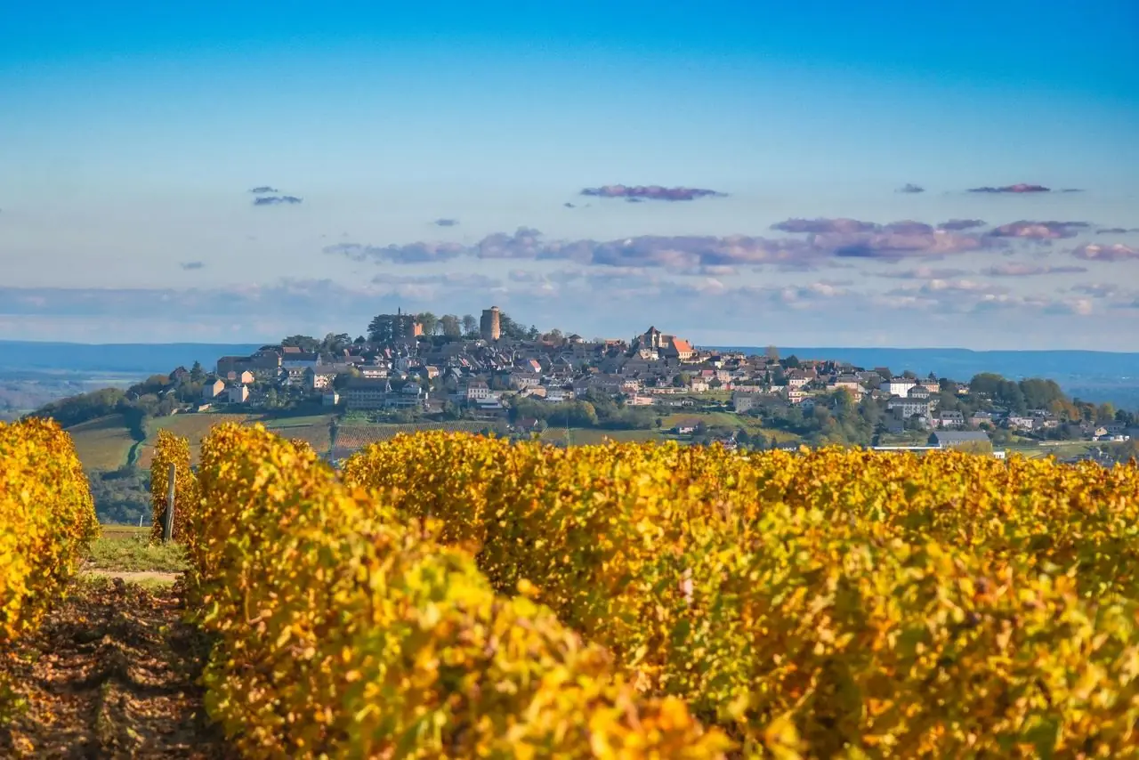 Domaine Vacheron