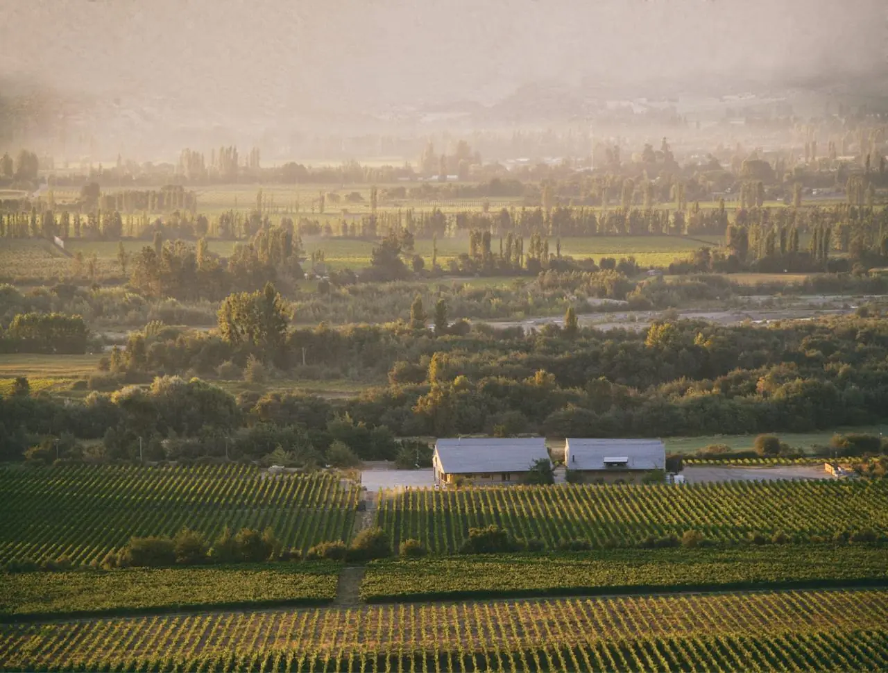 Emiliana Organic Vineyards