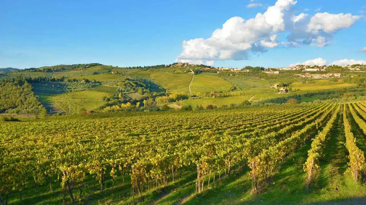 Fontodi