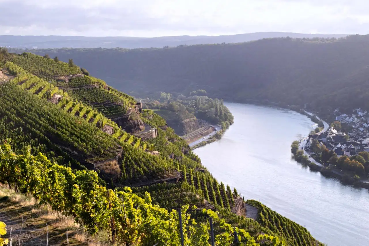 Weingut Clemens Busch