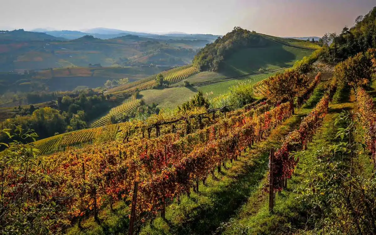 Weingut Emrich-Schoenleber