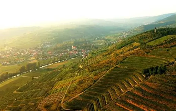 Weingut Loimer