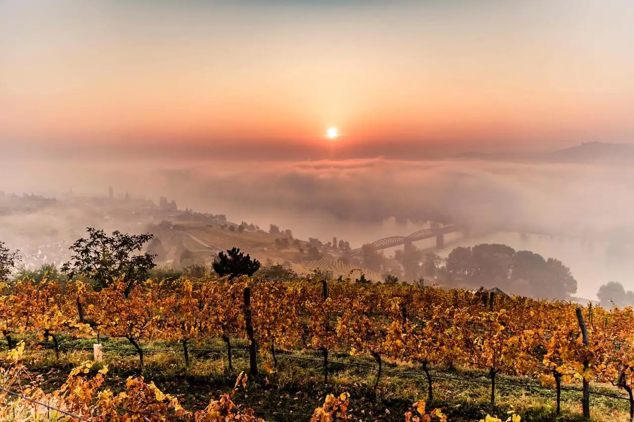 Weingut Nikolaihof