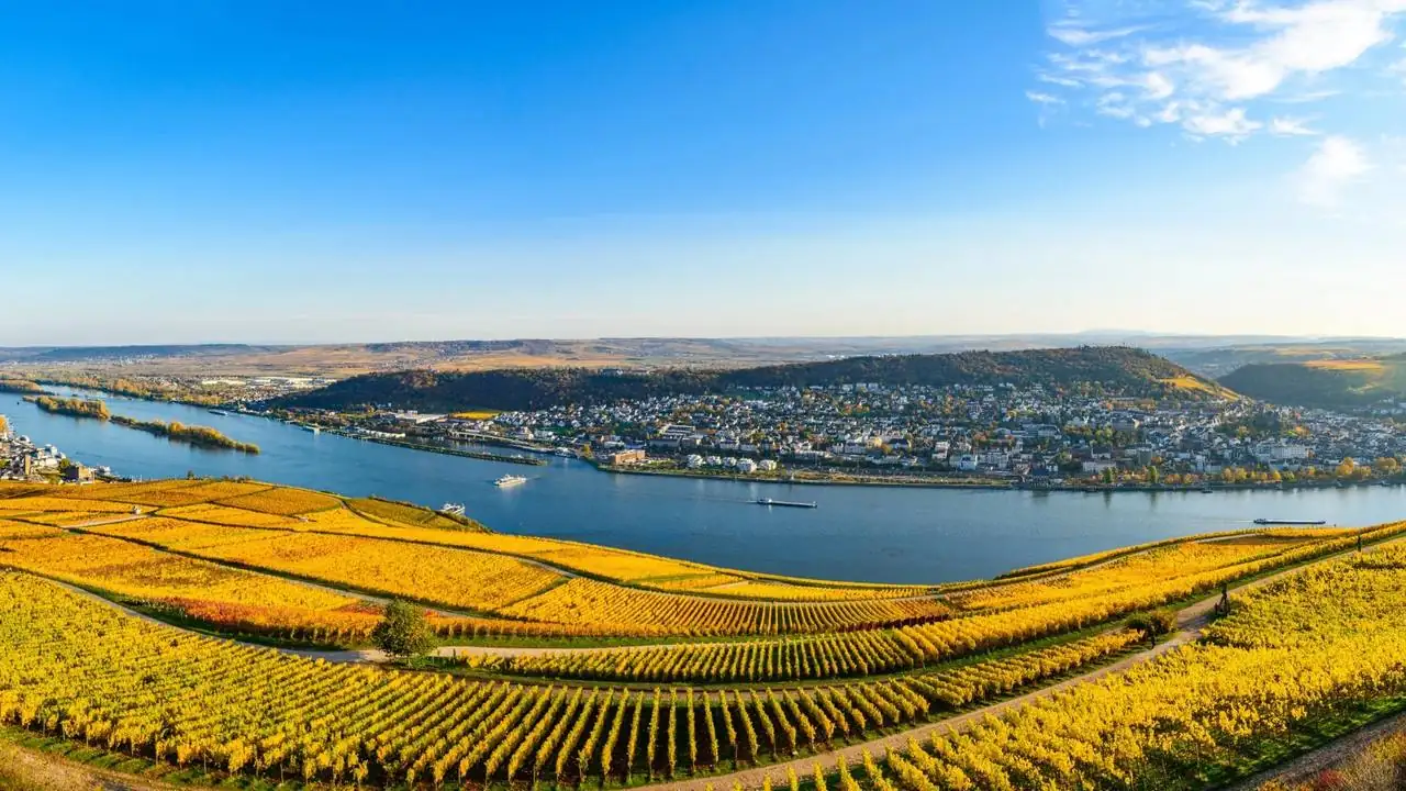 Weingut Wittmann