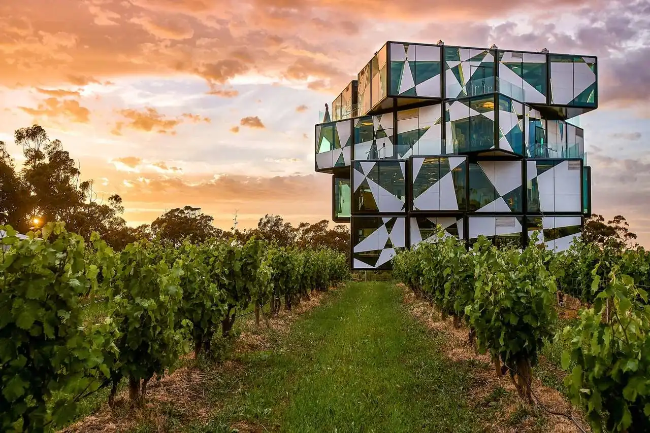 Yangarra Estate Vineyard